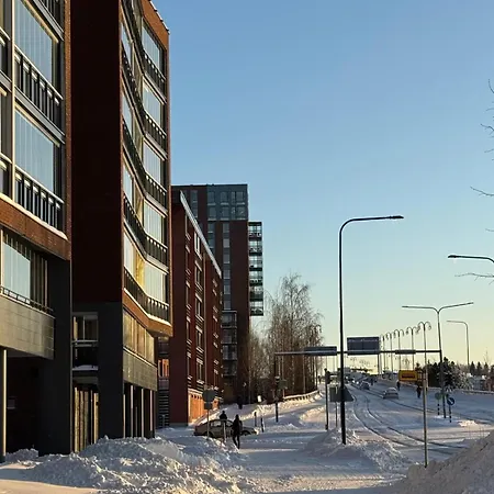 Apartment Saunallinen Lutakon Kaksio Jaervinaekymin *