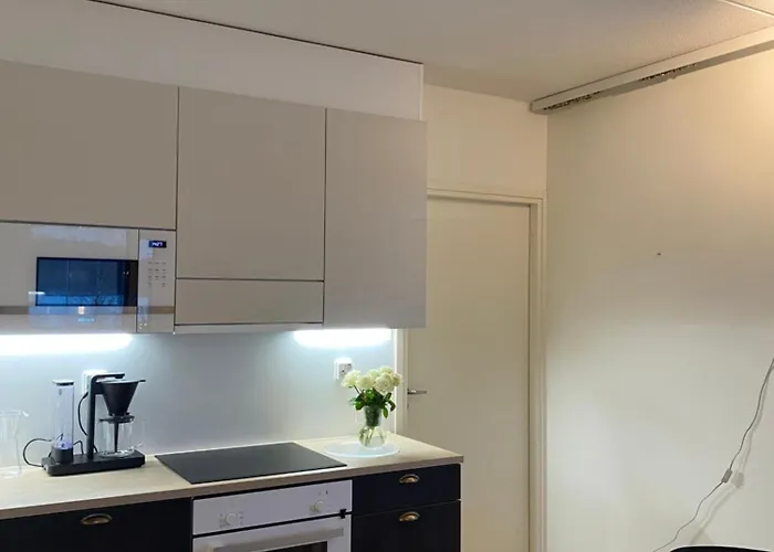 Apartamento Saunallinen Lutakon Kaksio Jaervinaekymin